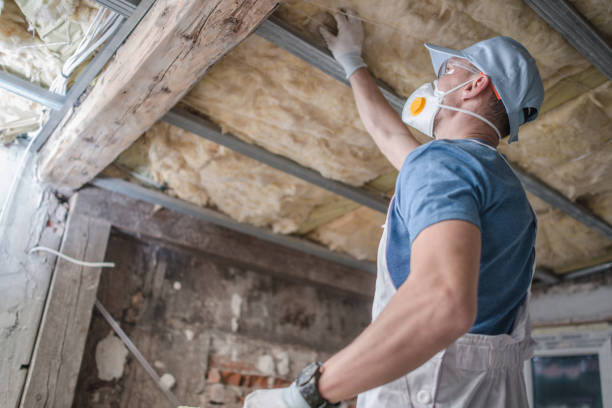 Best Spray Foam Insulation in Bealeton, VA